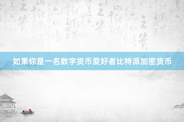 如果你是一名数字货币爱好者比特派加密货币