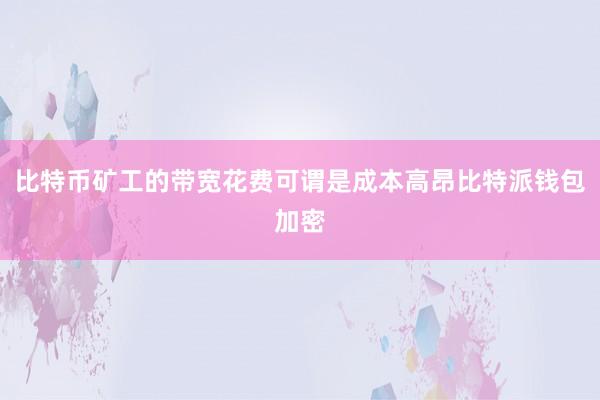 比特币矿工的带宽花费可谓是成本高昂比特派钱包加密