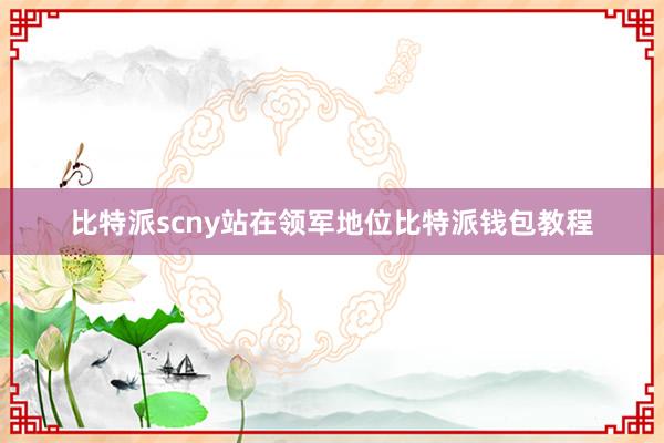 比特派scny站在领军地位比特派钱包教程