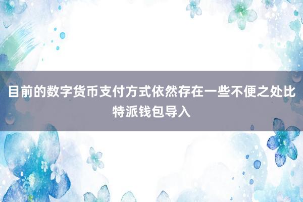 目前的数字货币支付方式依然存在一些不便之处比特派钱包导入