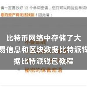 比特币网络中存储了大量的交易信息和区块数据比特派钱包教程