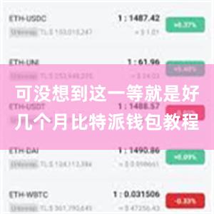 可没想到这一等就是好几个月比特派钱包教程