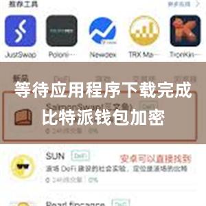 等待应用程序下载完成比特派钱包加密