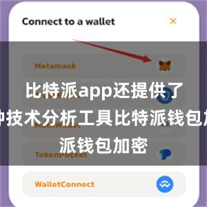 比特派app还提供了多种技术分析工具比特派钱包加密