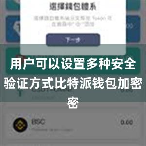 用户可以设置多种安全验证方式比特派钱包加密